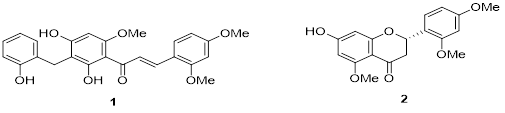 Bioassay-guided isolation of anticancer metabolites from Stahlianthus thorelii