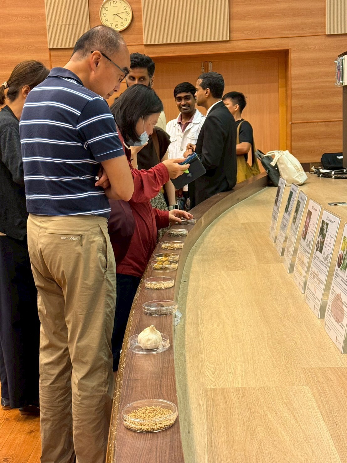 阿育吠陀草藥展示