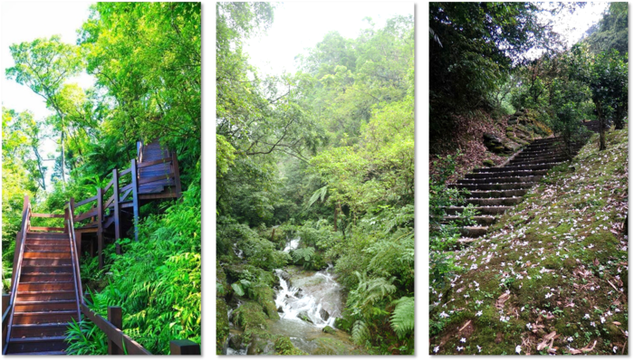 教學藥園照片(木棧道、溪流、步道)